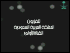 لقاء الدكتور بشار في التليفزيون السعودي - برنامج لها وما عليها